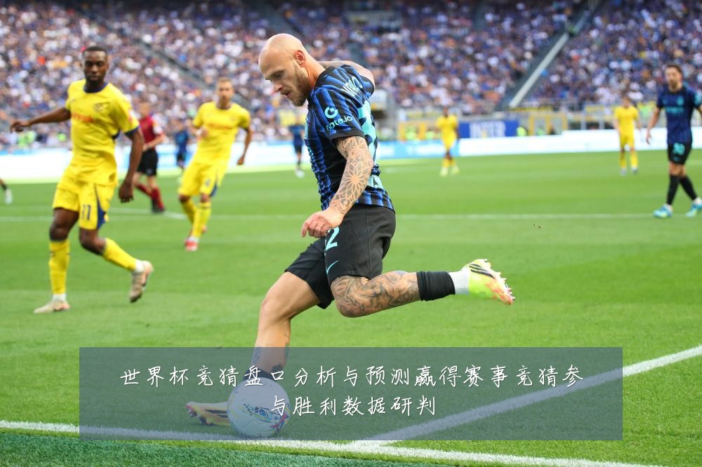 世界杯竞猜盘口分析与预测赢得赛事竞猜参与胜利数据研判